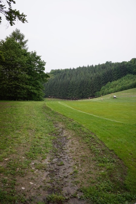 The border of the angel wing is a drainage ditch