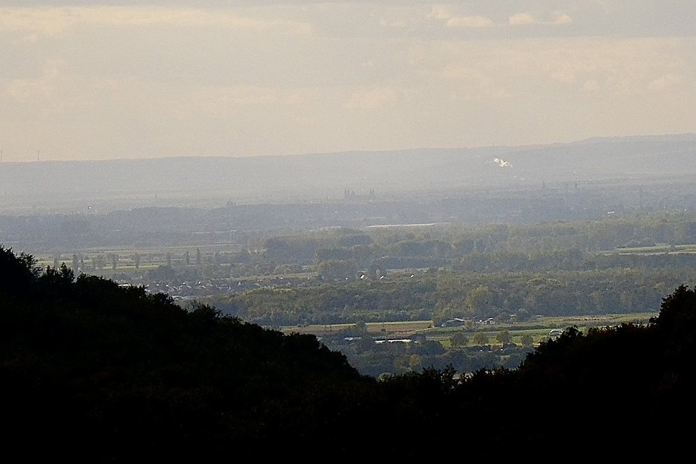 Jerusalem on the Rhine