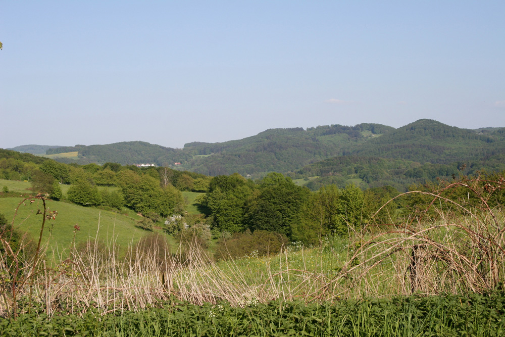 odenwald